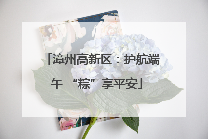 漳州高新区：护航端午 “粽”享平安