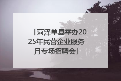 菏泽单县举办2025年民营企业服务月专场招聘会