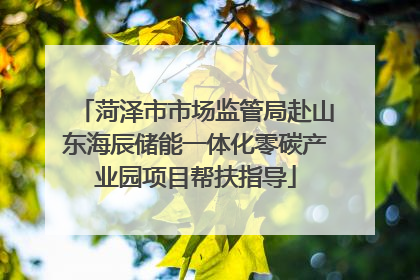 菏泽市市场监管局赴山东海辰储能一体化零碳产业园项目帮扶指导