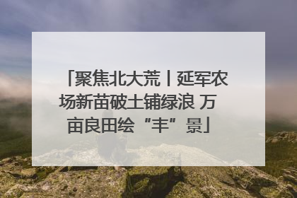 聚焦北大荒丨延军农场新苗破土铺绿浪 万亩良田绘“丰”景