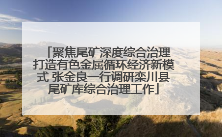 聚焦尾矿深度综合治理 打造有色金属循环经济新模式 张金良一行调研栾川县尾矿库综合治理工作