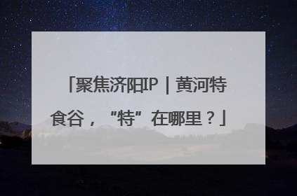 聚焦济阳IP｜黄河特食谷，“特”在哪里？