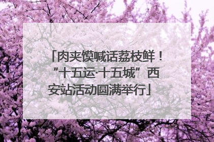 肉夹馍喊话荔枝鲜！“十五运·十五城”西安站活动圆满举行