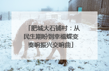 肥城大石铺村：从民生期盼到幸福蝶变奏响振兴交响曲