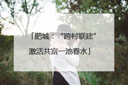 肥城：“跨村联建”激活共富一池春水