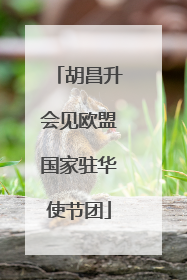 胡昌升会见欧盟国家驻华使节团