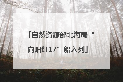 自然资源部北海局“向阳红17”船入列