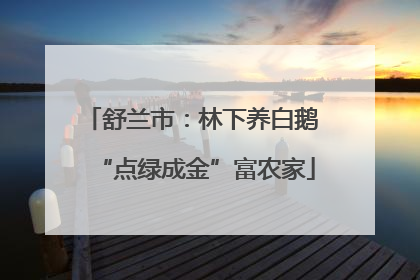 舒兰市：林下养白鹅 “点绿成金”富农家