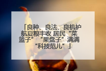 良种、良法、良机护航夏粮丰收 居民“菜篮子”“果盘子”满满“科技范儿”