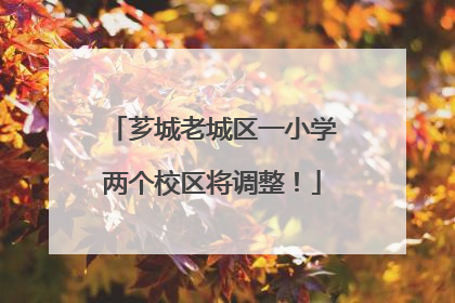 芗城老城区一小学两个校区将调整！