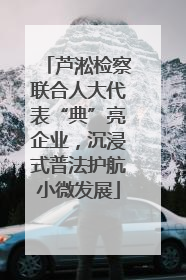 芦淞检察联合人大代表“典”亮企业，沉浸式普法护航小微发展