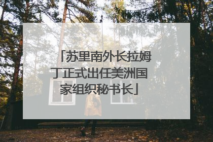 苏里南外长拉姆丁正式出任美洲国家组织秘书长