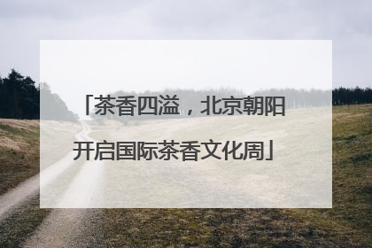 茶香四溢，北京朝阳开启国际茶香文化周