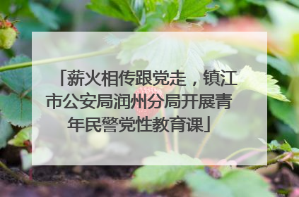 薪火相传跟党走，镇江市公安局润州分局开展青年民警党性教育课