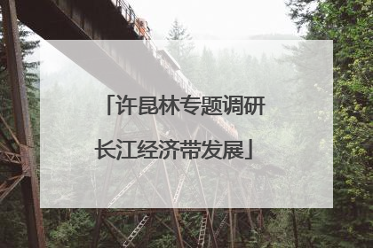 许昆林专题调研长江经济带发展