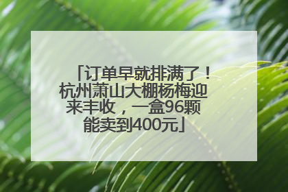 订单早就排满了！杭州萧山大棚杨梅迎来丰收，一盒96颗能卖到400元