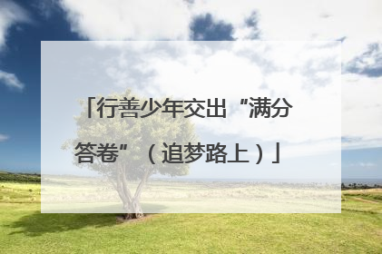 行善少年交出“满分答卷”（追梦路上）