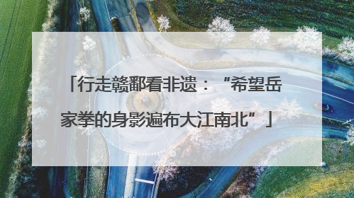 行走赣鄱看非遗：“希望岳家拳的身影遍布大江南北”