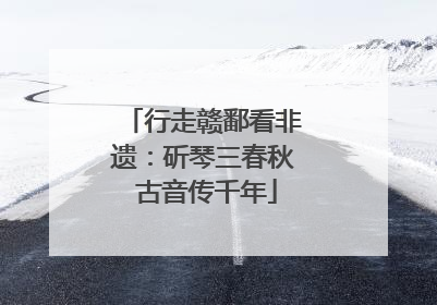 行走赣鄱看非遗：斫琴三春秋 古音传千年