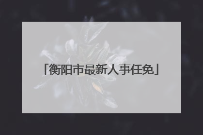 衡阳市最新人事任免