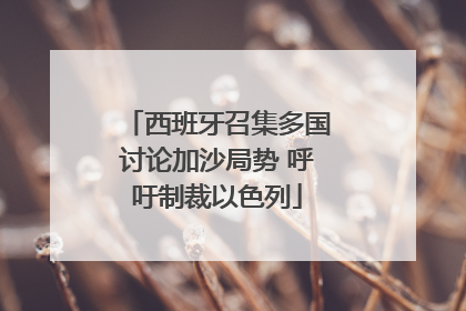 西班牙召集多国讨论加沙局势 呼吁制裁以色列
