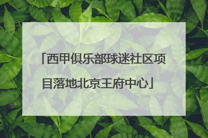 西甲俱乐部球迷社区项目落地北京王府中心