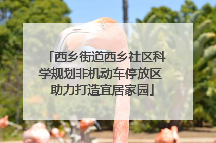 西乡街道西乡社区科学规划非机动车停放区 助力打造宜居家园