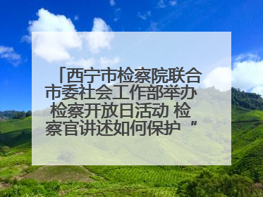 西宁市检察院联合市委社会工作部举办检察开放日活动 检察官讲述如何保护“少年的你”