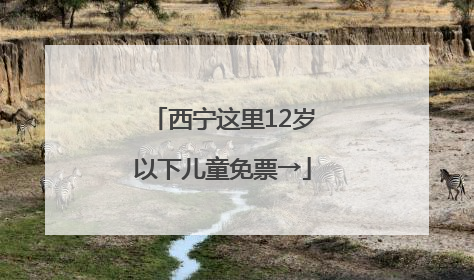 西宁这里12岁以下儿童免票→