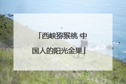西峡猕猴桃 中国人的阳光金果