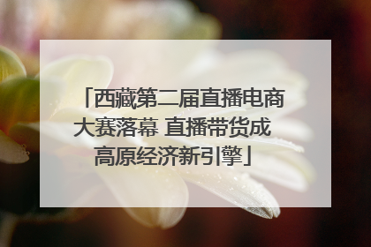 西藏第二届直播电商大赛落幕 直播带货成高原经济新引擎