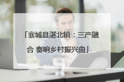 襄城县湛北镇：三产融合 奏响乡村振兴曲