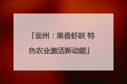 襄州：果香虾跃 特色农业激活新动能