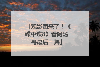 观影团来了！《碟中谍8》看阿汤哥最后一舞