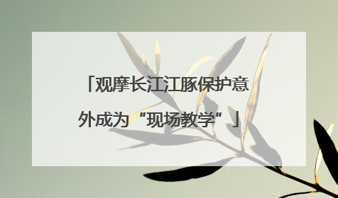 观摩长江江豚保护意外成为“现场教学”