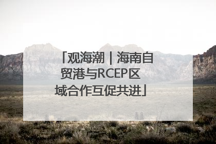 观海潮｜海南自贸港与RCEP区域合作互促共进