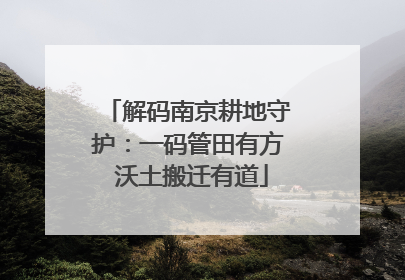解码南京耕地守护：一码管田有方 沃土搬迁有道