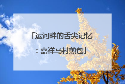 运河畔的舌尖记忆：嘉祥马村煎包