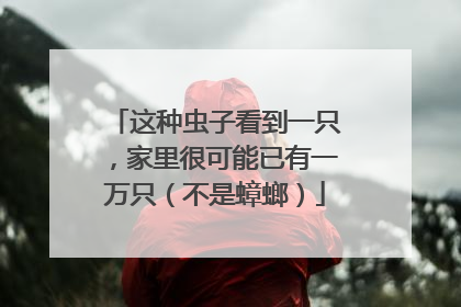 这种虫子看到一只，家里很可能已有一万只（不是蟑螂）