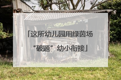 这所幼儿园用绿茵场“破题”幼小衔接