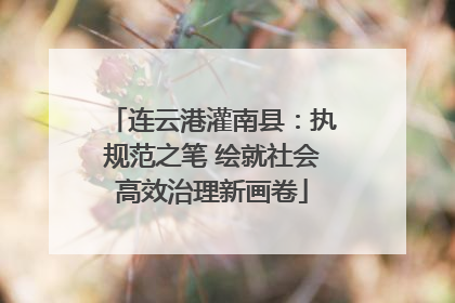 连云港灌南县：执规范之笔 绘就社会高效治理新画卷