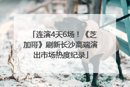 连演4天6场！《芝加哥》刷新长沙高端演出市场热度纪录