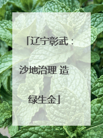 辽宁彰武：沙地治理 造绿生金