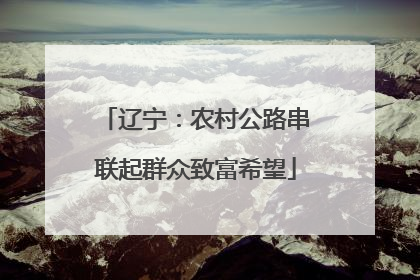 辽宁：农村公路串联起群众致富希望