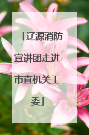 辽源消防宣讲团走进市直机关工委