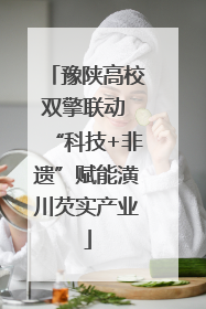 豫陕高校双擎联动 “科技+非遗”赋能潢川芡实产业
