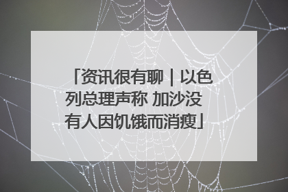 资讯很有聊｜以色列总理声称 加沙没有人因饥饿而消瘦