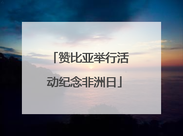 赞比亚举行活动纪念非洲日