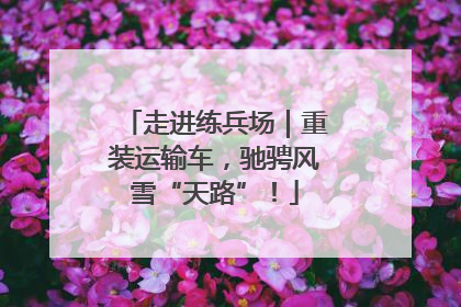 走进练兵场｜重装运输车，驰骋风雪“天路”！