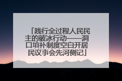 践行全过程人民民主的破冰行动——洞口填补制度空白开居民议事会先河侧记